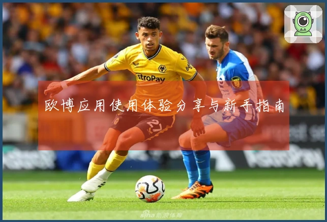 欧博应用使用体验分享与新手指南