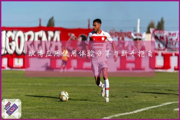欧博应用使用体验分享与新手指南