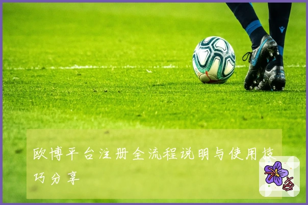 欧博平台注册全流程说明与使用技巧分享