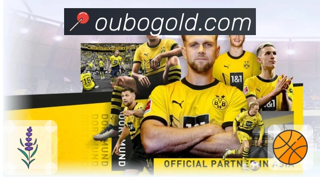 欧博网页版登录使用指南:轻松快捷访问全新体验详解